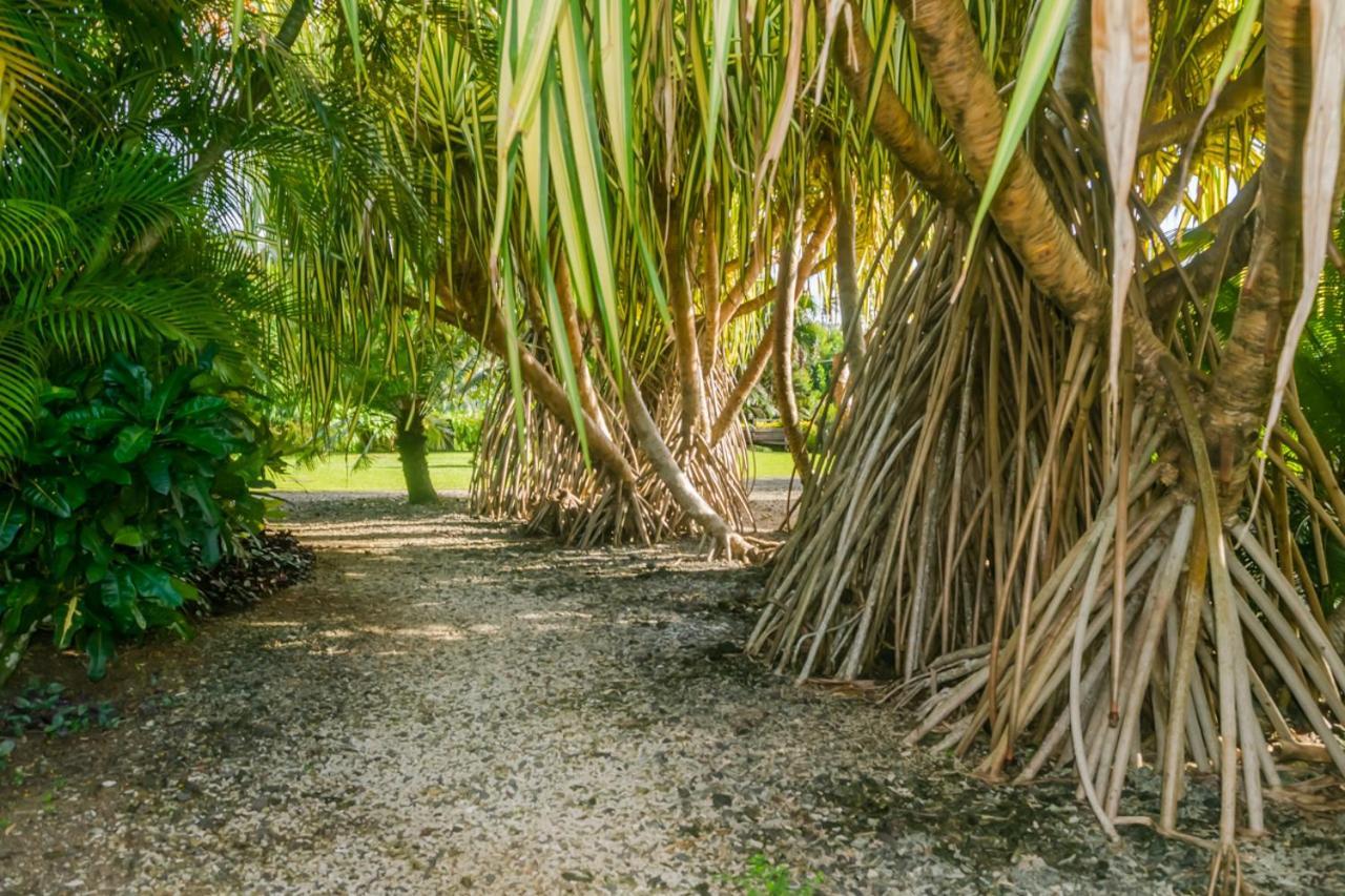 Aroha Taveuni Beachfront Bures Вайево Экстерьер фото